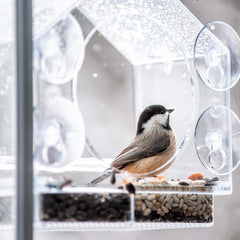 Nature Anywhere suction cups in packaging