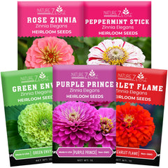 NatureZ Edge Zinnia Seeds Variety Mix 5g packaging front view