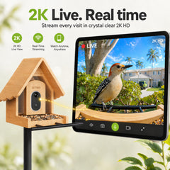 Night vision feature on DETIKO Smart Bird Feeder