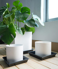 NIMYAU 18 inch square plant saucer side view