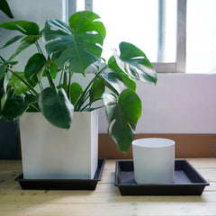 NIMYAU Square Plant Saucer 16 inch in outdoor setting