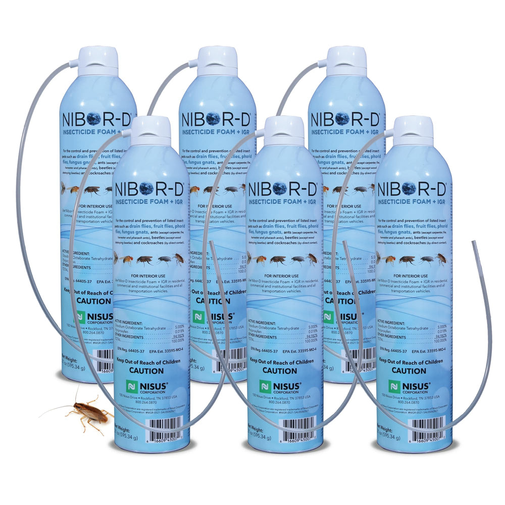 Nisus Nibor-D Insecticide Foam 21 oz can front view