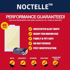 Noctelle glue traps set up in a corner