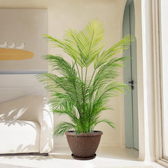 Nooulap 12 Inch Plant Pot filled with Monstera plant