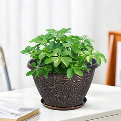 Nooulap 8 inch plant pot with saucer included