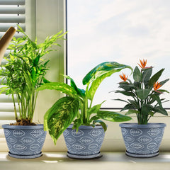 Nooulap flower pots displayed with plants
