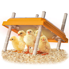 NUGRIART Brooder Heater for Chicks 10" x 10" front view