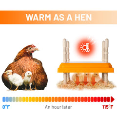 NUGRIART Brooder Heater in use with chicks