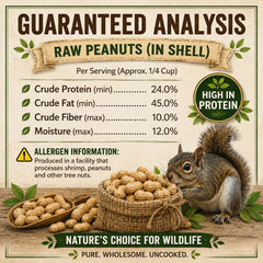 Office Roast Raw Peanuts in Shell on a wooden table