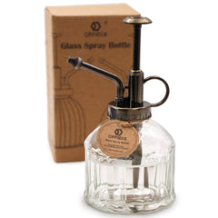 OFFIDIX Transparent Glass Plant Mister in clear design