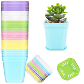 OJYUDD 24 pack multicolour plastic plant pots arranged with trays