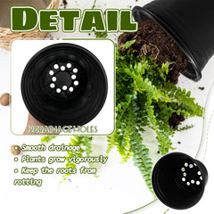 OJYUDD nursery pots with seedlings inside