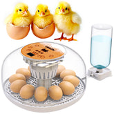 OKKÖBI M12 Egg Incubator front view with transparent lid