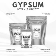 Olympus Myco Gypsum Powder packaging side view