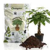 Omitgoter Money Tree Soil 1QT front view packaging
