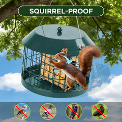 Open Gbekery bird feeder ready for refilling