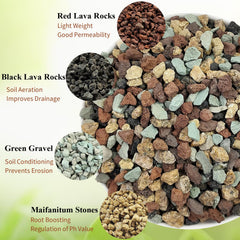 Open package of FANTIAN Succulent Cactus Soil with mixed colour stones
