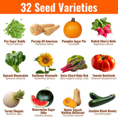 Open Seed Vault seed packets with diverse vegetable seeds