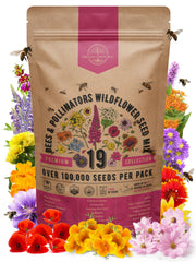 Organo Republic 4 oz wildflower seeds packet front view