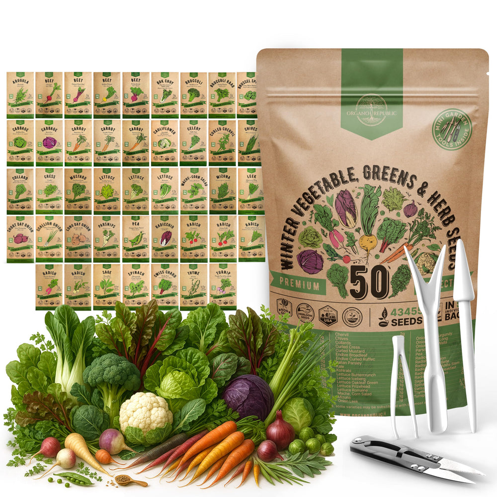 Organo Republic 50 Winter Vegetable Garden Seeds Variety Pack front view