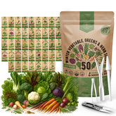 Organo Republic 50 Winter Vegetable Garden Seeds Variety Pack front view