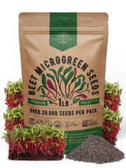 Organo Republic Beet Sprouting Seeds 1 lb resealable bag