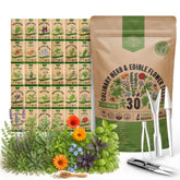Organo Republic Culinary Herbs Seed Pack front view with assorted seed packets