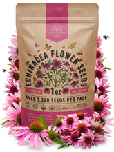Organo Republic Echinacea Seeds Pack front view with resealable bag