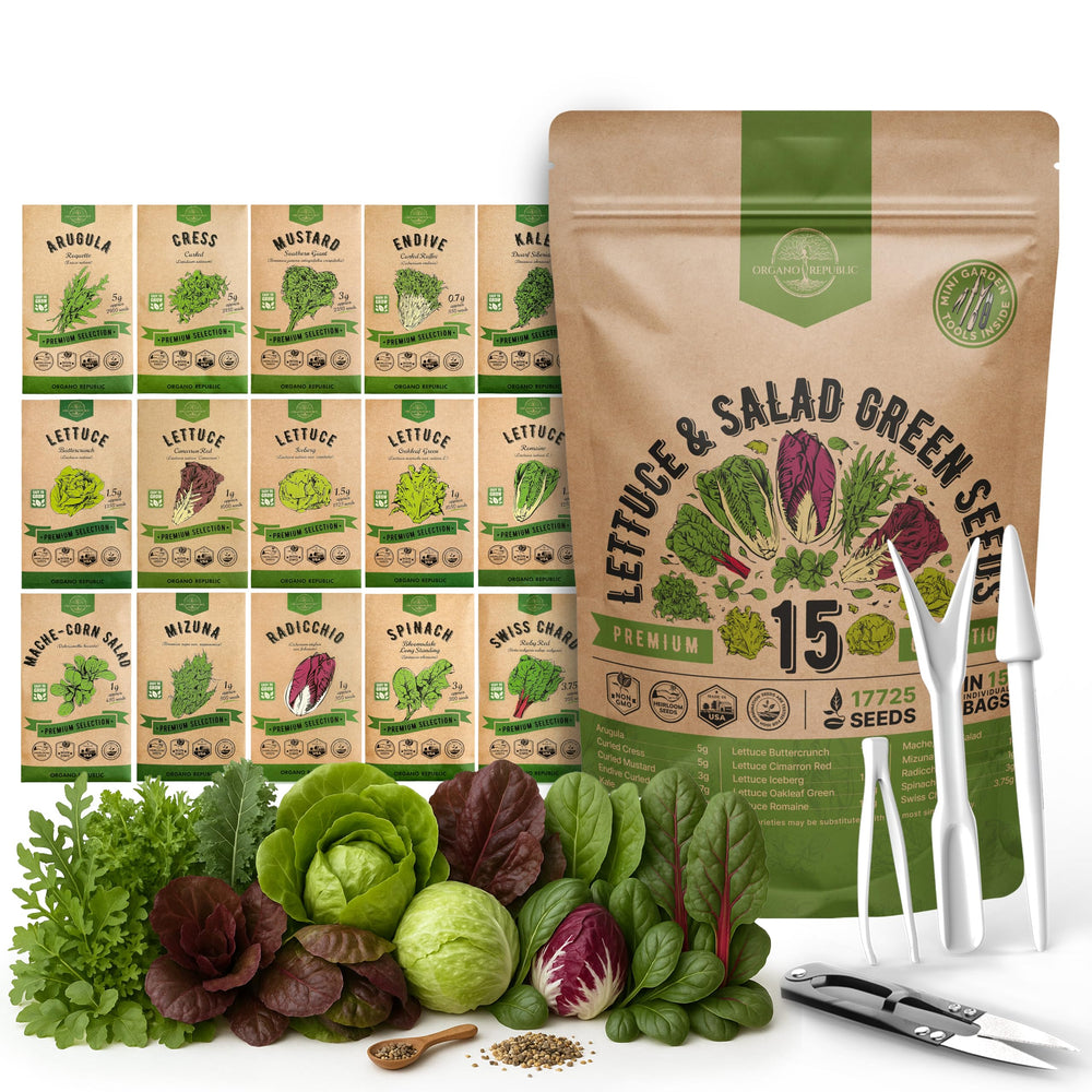 Organo Republic Lettuce & Salad Greens Seeds Variety Pack front view