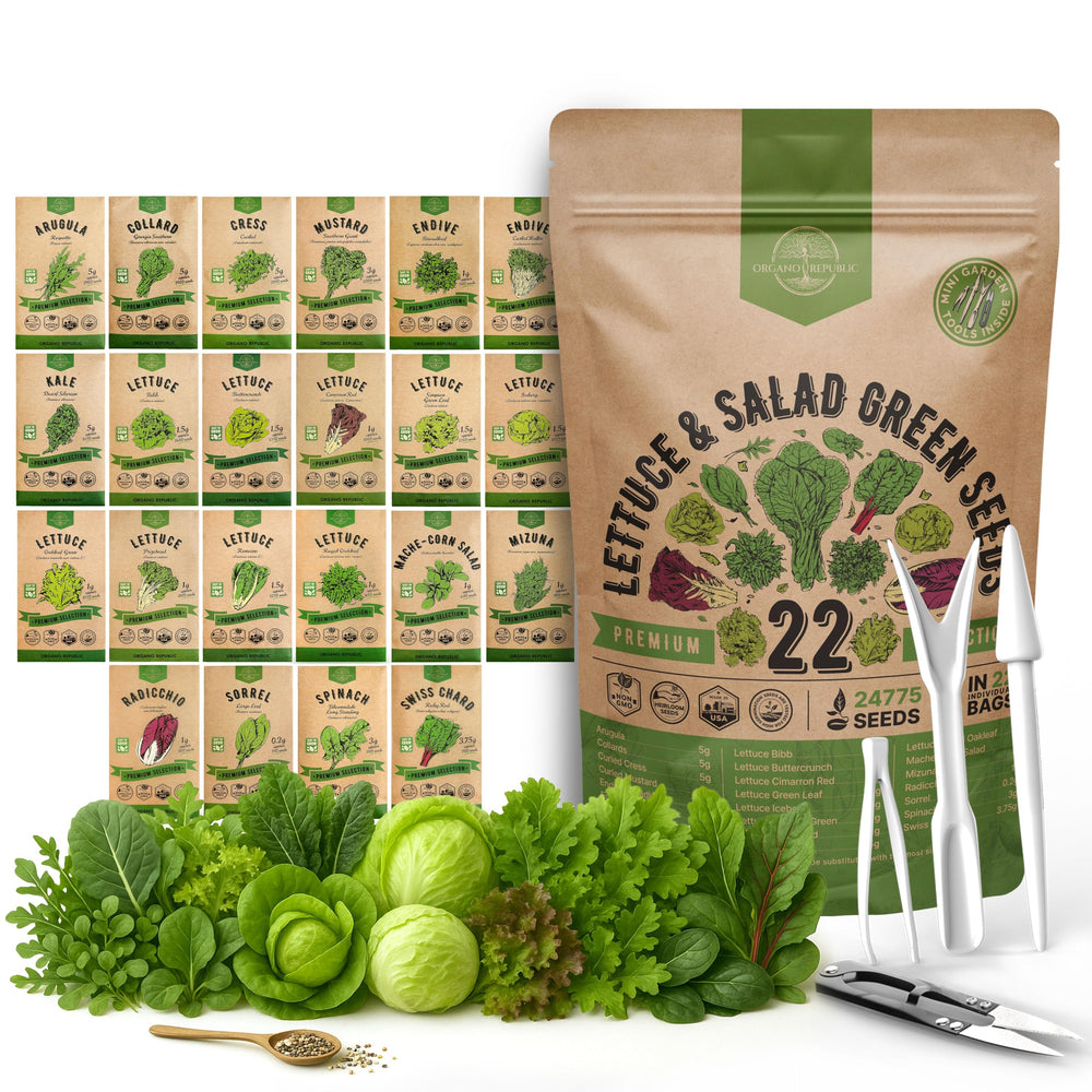 Organo Republic Lettuce & Salad Greens Seeds Variety Pack front view