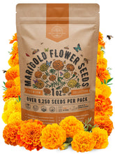 Organo Republic Marigold Seeds Pack front view with resealable bag