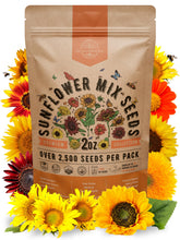Organo Republic Sunflower Mix Seeds Pack front view with resealable bag