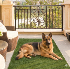 Ottomanson Artificial Turf Mat 31" x 4' Green Natural front view