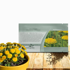 Outsidepride Dandelion Seeds packaging front view with yellow label