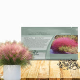 Outsidepride Ruby Muhly Grass Seeds package front view