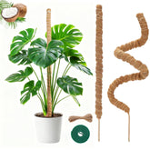 Outzen 27 Inch Moss Pole front view with two plant tie tapes
