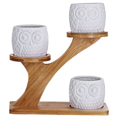Owl succulent pot with drainage hole and bamboo tray
