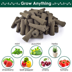 PACETAP Grow Sponges with seeds inserted