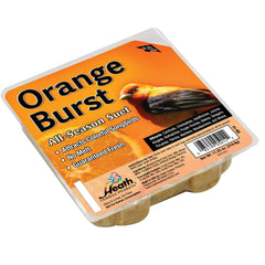 Pack of 10 Heath Orange Burst Suet Cakes in orange color