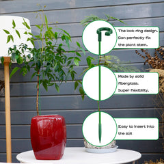 Pack of 16 SupKing Invisible Plant Sticks on display