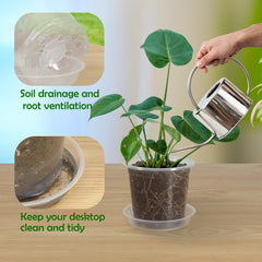 Pack of 20 TNTIWQ 6 Inch Clear Nursery Pots