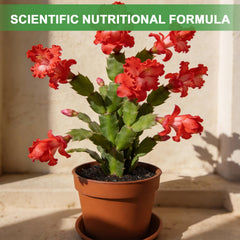 Packaging of Omitgoter Christmas Cactus Potting Soil