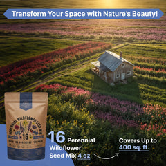 Packet of Organo Republic wildflower seeds on a wooden table