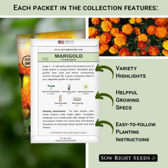 Packets of Lavender, Catnip, Marigold, Peppermint, and Lemon Grass seeds