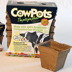 Park Seed CowPots 4-inch tall square seedling starter set of 12