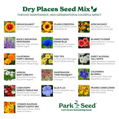 Park Seed Wildflower Garden Mixture 1 lb in a garden setting