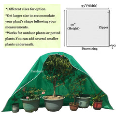 Pasidener Plant Covers installation on a small tree
