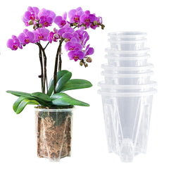 pavtner Orchid Pots 8 Pack with clear design and various sizes