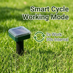Peepst Solar Powered Mole Repeller in a vegetable garden