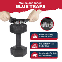 Pelrayt Glue Mouse Trap with pre-baited sticky surface